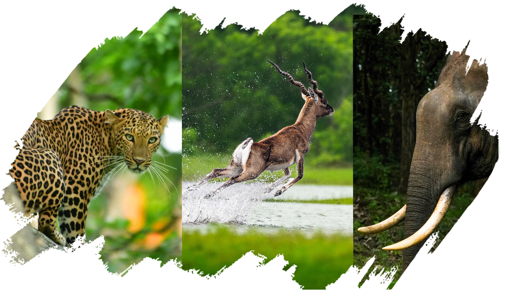 WhatsApp Image 2025-11-20 at 12-00-07 (3)